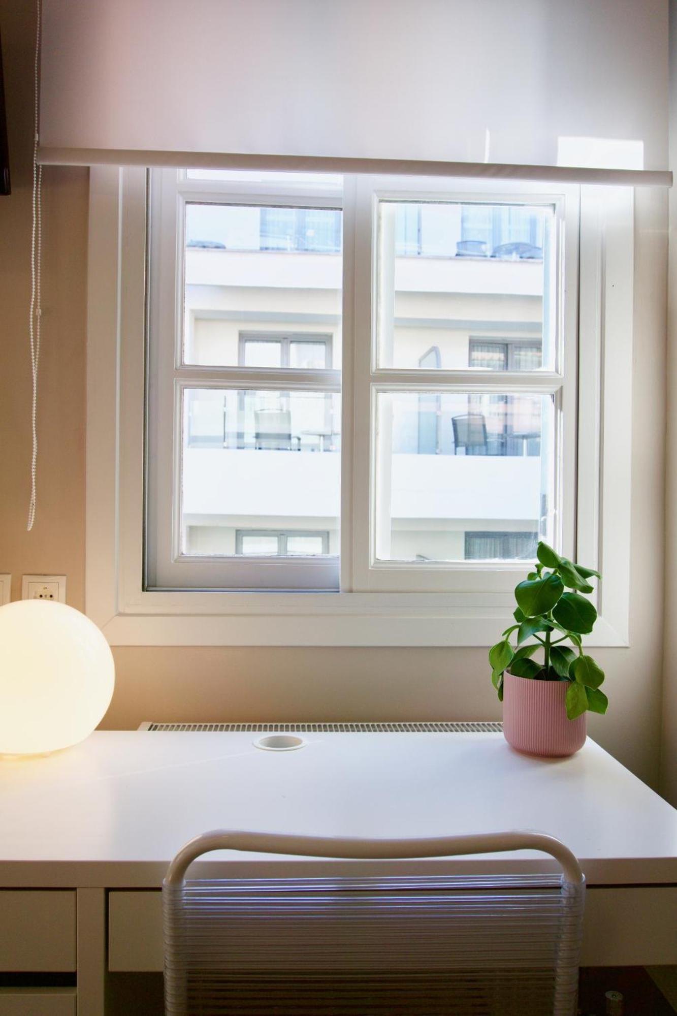 Syntagma Square: Amazing Cozy Studio - Whale 아테네 외부 사진